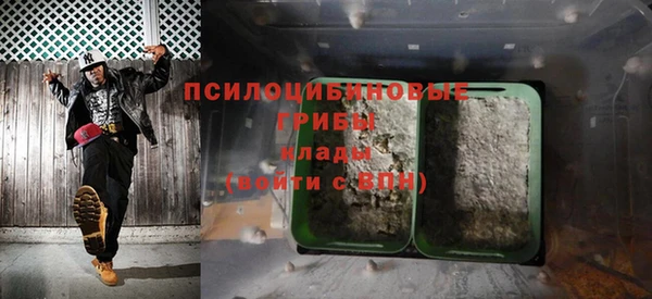 крисы Краснотурьинск