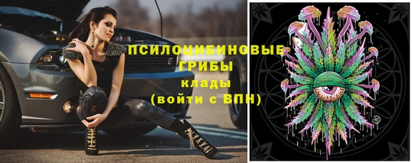 крисы Краснотурьинск