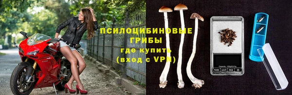 прущая мука Краснослободск