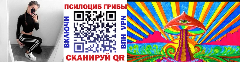 hydra ссылки Медвежьегорск Псилоцибиновые грибы Psilocybe